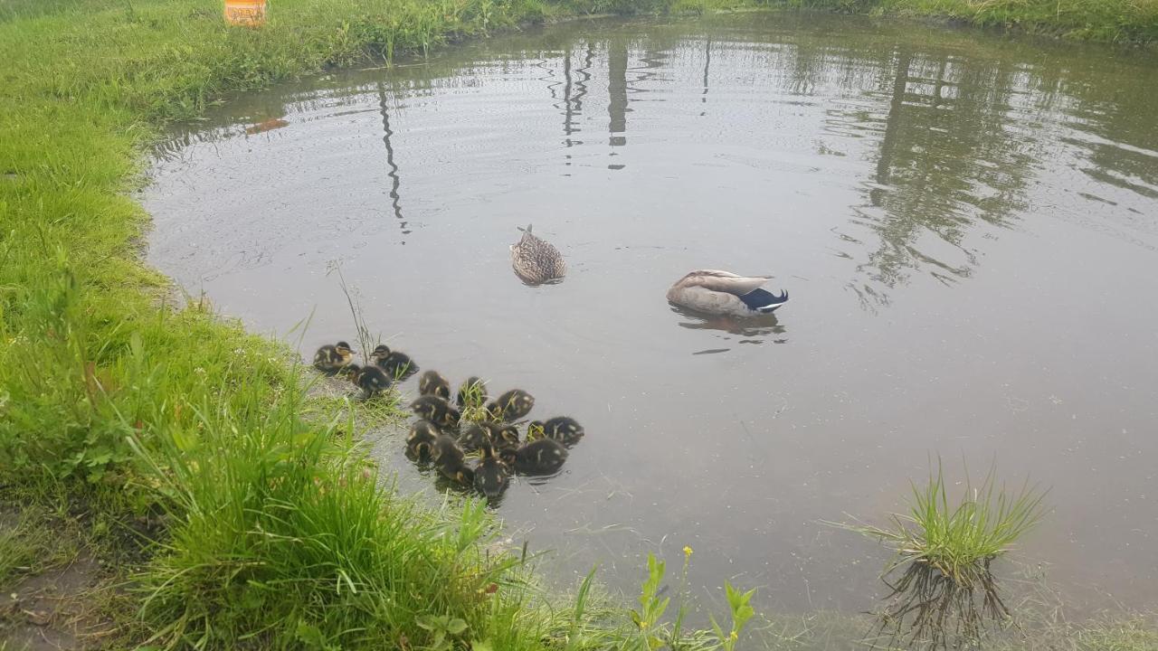 Ferienwohnung Auf Dem Bauernhof Grossraeschen Exteriör bild